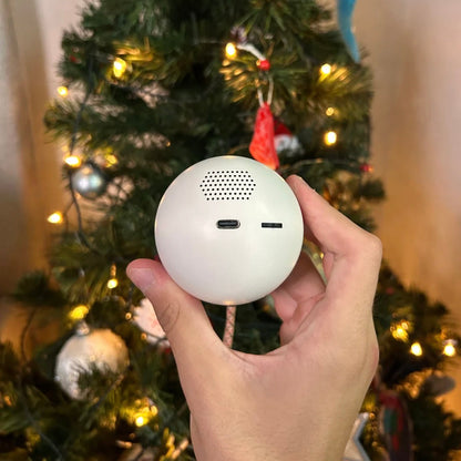 Merry Orbs™  Personalized Video Sphere
